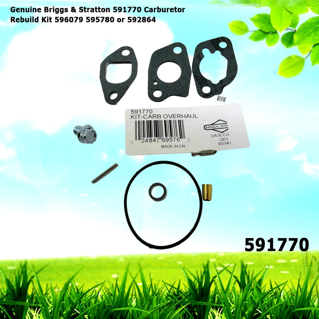 Genuine Briggs & Stratton 591770 Carburetor Overhaul Rebuild Kit 