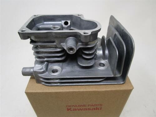 Genuine Kawasaki Head 11008-2171 FJ180V Toro TimeMaster Mower