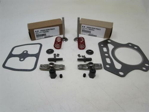 Genuine Kawasaki Valve Kit for 11008-7020 11008-6043 1 OR 2 FH451V FH500V FH531V