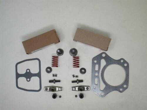 Genuine Kawasaki Valve Kit for 11008-7020 11008-6043 1 OR 2 FH451V FH500V FH531V