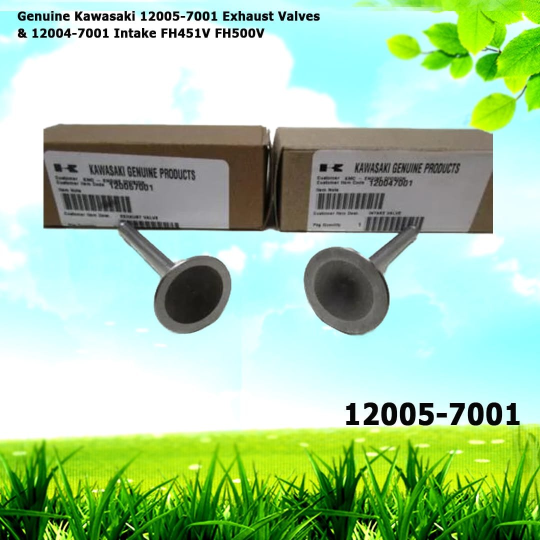 Genuine Kawasaki 12005-7001 Exhaust Valves & 12004-7001 Intake FH451V FH500V