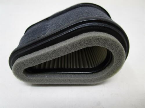 Genuine Kawasaki 11029-2010 Toro 100-2694 Air & Pre-Air Filter FC150V