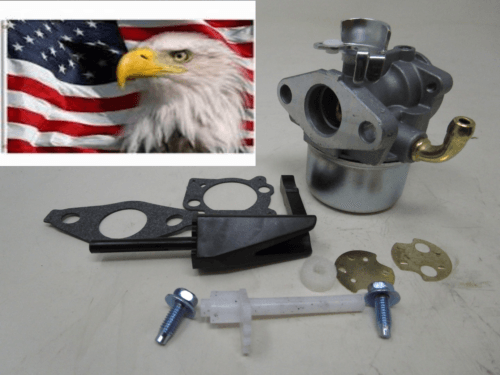 Carburetor For Briggs & Stratton 798653 697354 790290 791077 698860 5.5 Intek