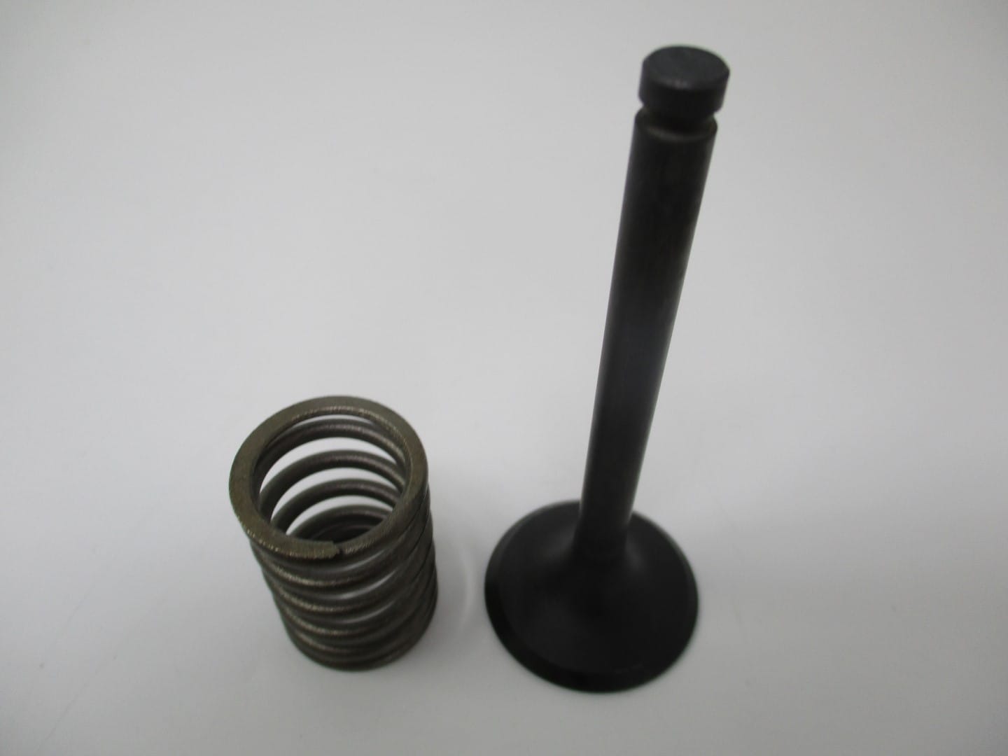 Genuine Kawasaki 12004-2084 Intake Valve & Spring 49078-2060 FC290V FE290D FE290