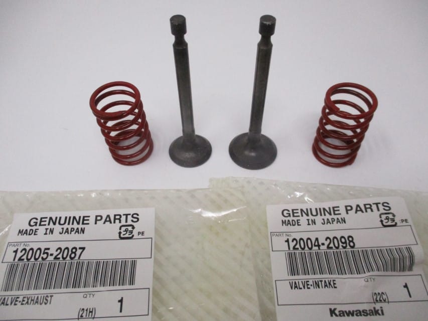 Genuine Kawasaki 12005-2087 Exhaust & 12004-2098 Intake Valves Spring 49078-7001 - Image 3