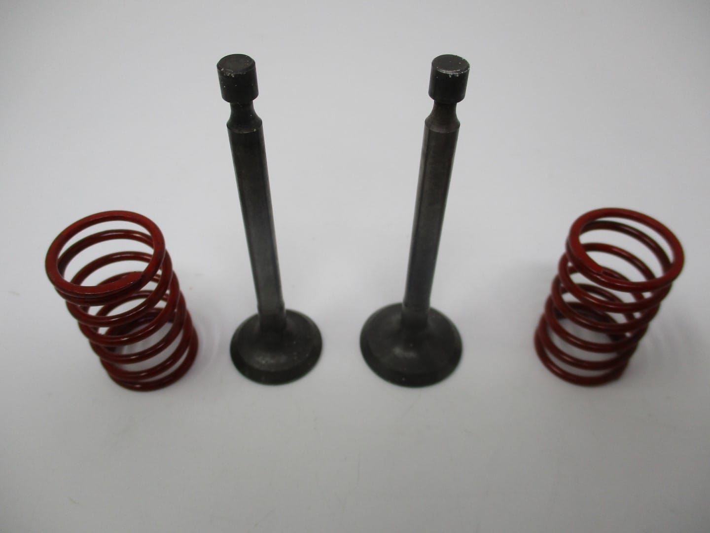 Genuine Kawasaki 12005-2087 Exhaust & 12004-2098 Intake Valves Spring 49078-7001