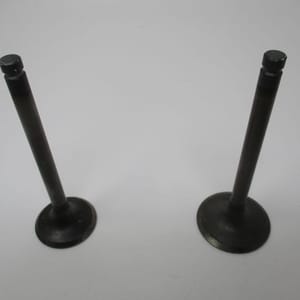 Genuine Kawasaki 12005-2091 & 12004-2120 Intake & Exhaust Valves for FE350D