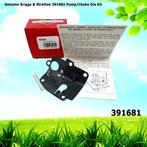 Genuine Briggs & Stratton 391681 Pump/Choke Dia Kit