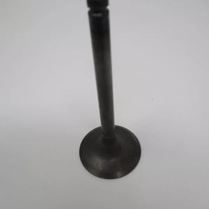 Genuine Kawasaki 12004-2120 Intake Valve for FE350D FE400D