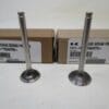 Genuine Kawasaki Exhaust Valves 12005-7001 & Intake 12004-7001 FH451V FH500V