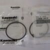 2 Pack Genuine Kawasaki Carburetor 11009-2919 Bowl Gasket FE120D FE120G FE170D FE250
