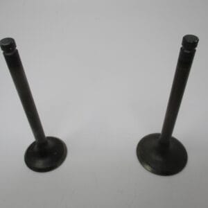 Genuine Kawasaki 12005-2091 & 12004-2120 Intake & Exhaust Valves for FE350D