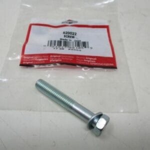 Genuine Briggs & Stratton 820022 Screw