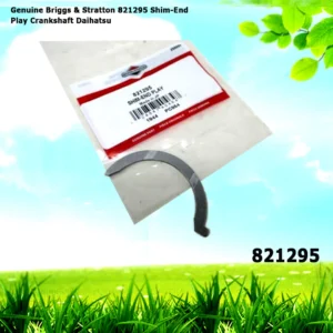 Genuine Briggs & Stratton 821295 Shim-End Play Crankshaft Daihatsu