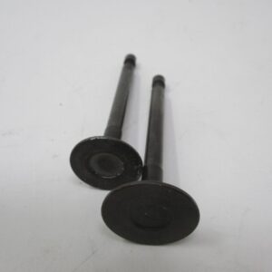 Genuine Kawasaki 12005-2087 Exhaust & 12004-2098 Intake Valves for FE120G Toro