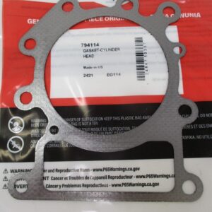 Genuine Briggs & Stratton 794114 Head Gasket Cylinder Intek OHV