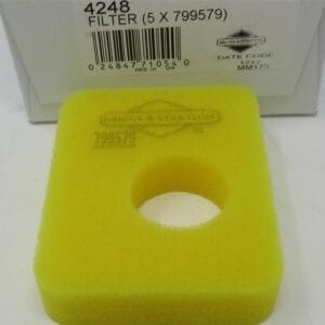 Genuine Briggs & Stratton 799579 Air Filter 09P000, 08P000 Mower 550e-550ex