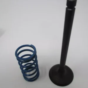 Genuine Kawasaki 12004-0746 Intake Valve 12004-0722 Spring 49078-7008 FX801V