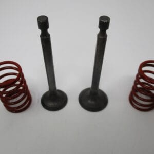 Genuine Kawasaki 12005-2087 Exhaust & 12004-2098 Intake Valves Spring 49078-7001