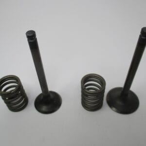 Genuine Kawasaki 12005-2091 & 12004-2120 Intake & Exhaust Valves & Spring FE350D