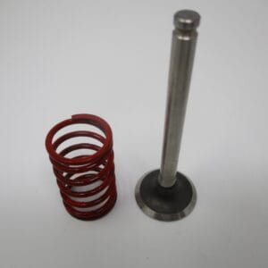 Genuine Kawasaki 12004-7001 Intake Valve & 49078-7001 Spring for FH451V FH500V