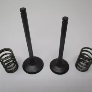 Genuine Kawasaki 12005-0777 Exhaust 12004-0733 Intake Valves Springs 49078-7002