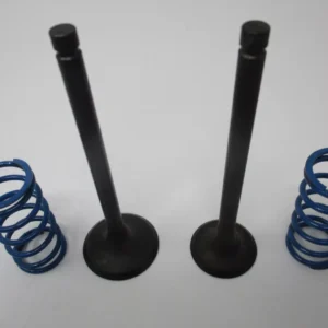 Genuine Kawasaki 12004-0746 Intake & 12005-0795 Exhaust Valve Spring 49078-7008 For FX751V, FX801V, FX850V