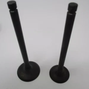 Genuine Kawasaki 12004-0746 Intake &12005-0795 Exhaust Valves FX751V FX801V