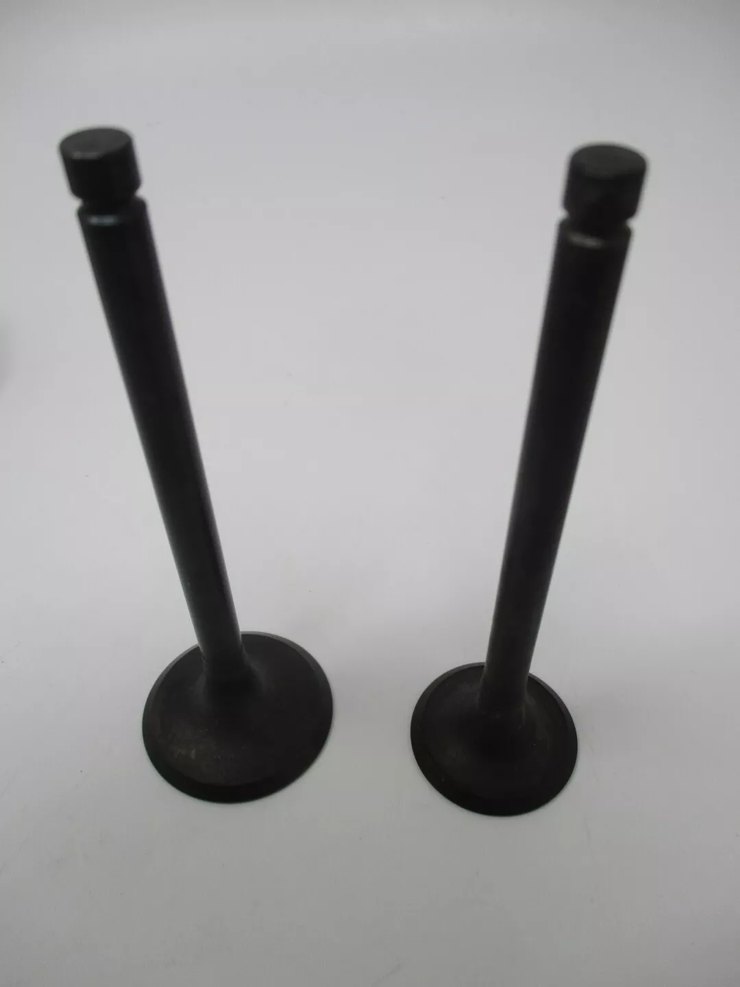 Genuine Kawasaki 12004-0746 Intake &12005-0795 Exhaust Valves FX751V FX801V