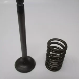 Genuine Kawasaki 12005-2091 & 49078-2070 Exhaust Valves & Spring for FE350D