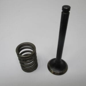 Genuine Kawasaki 12005-2077 Exhaust Valve 49078-2060 Spring FC290V FE290D FE290