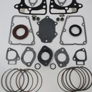 Genuine Kawasaki FR691V FS691V FT730V FS Engine Rebuild Cylinders Piston Rings