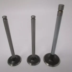 2 Genuine Kawasaki 12004-7006 Intake 1, 12005-0714 Exhaust Valve