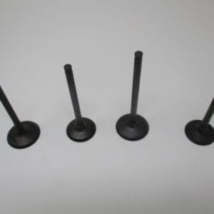 2 Genuine Kawasaki 12005-0777 Exhaust 12004-0733 Intake Valves