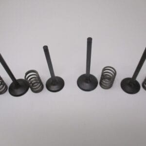 2 Genuine Kawasaki 12005-0777 Exhaust 12004-0733 Intake Valves Spring 49078-7002