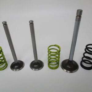2 Genuine Kawasaki 12004-7006 Intake 1, 12005-0714 Exhaust Valve Springs FX921V