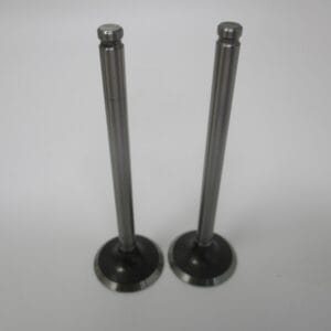 2 Genuine Kawasaki 12004-7006 Intake Valves for FX921V FXT00V