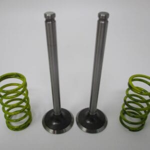 2 Genuine Kawasaki 12004-7006 Intake Valve Springs 49078-7006 for FX921V FXT00V