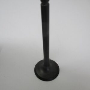 Genuine Kawasaki 12005-0777 Exhaust Valve FR651V FR691V FR730V FS651V FS691V