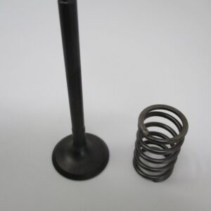 Genuine Kawasaki 12005-0777 Exhaust Valve & Spring 49078-7002 FR651V FR691V