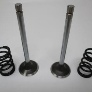 2 Genuine Kawasaki 12005-0714 Exhaust Valves & Springs 49078-7007 FX921V FXT00V