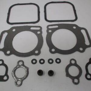 Genuine Briggs & Stratton 842723 Valve Kit 294442 Model 351447 305776 305447