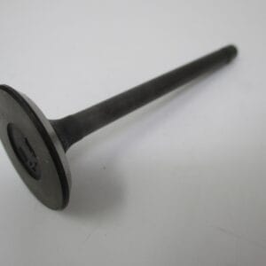 Genuine Briggs & Stratton 820403 Daihatsu DM950D Intake Valve Diesel