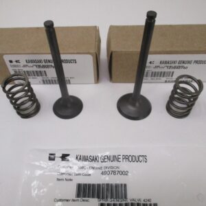 Genuine Kawasaki 12004-0793 12005-0793 Valve Set Intake Exhaust 2 Springs